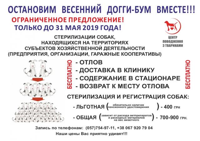 КП «Центр обращения с животными» объявляет акцию «Остановим весенний догги-бум вместе!»