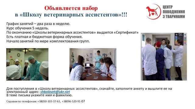 Приглашаем в Школу ветеринарных ассистентов