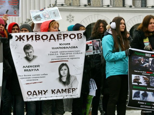 Официальный ответ организаторам митинга, прошедшего в Киеве под зданием Деснянского суда 19.03.13 г.