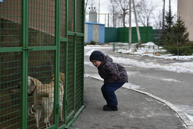 Трагическая безответственность