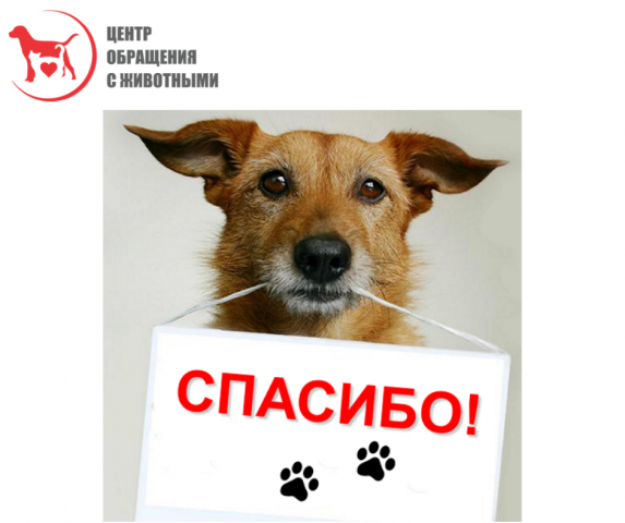 КП "Центр обращения с животными" - обращение к зоозащитным организациям г. Харькова