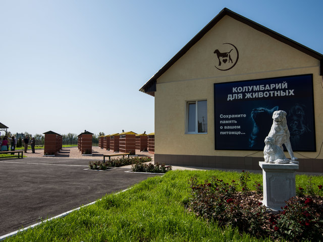 Более 500 харьковчан воспользовались ритуальными услугами колумбария Центра обращения с животными