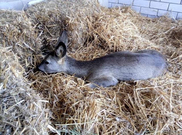 Необычный пациент