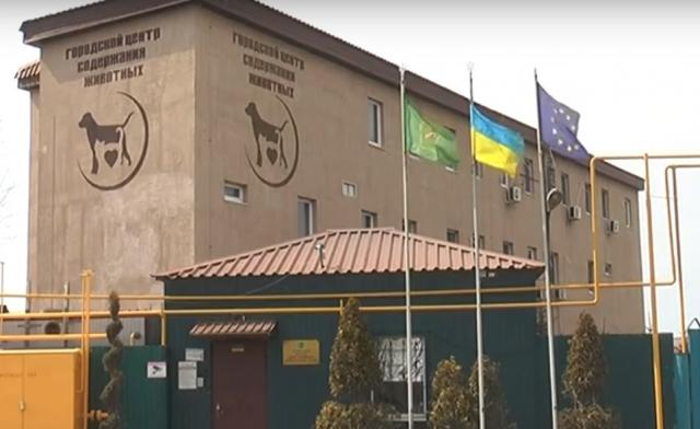 Конфлікт навколо собаки у Харкові (відео)