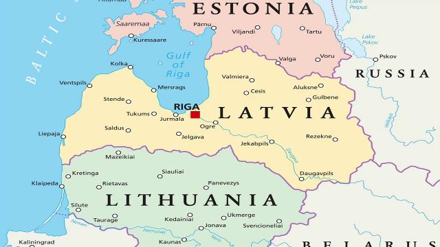 Опыт Прибалтики в сфере обращения с бездомными животными