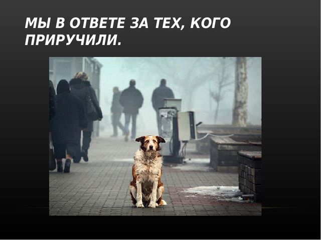 Степень доброты, которую мы себе можем позволить, у каждого своя