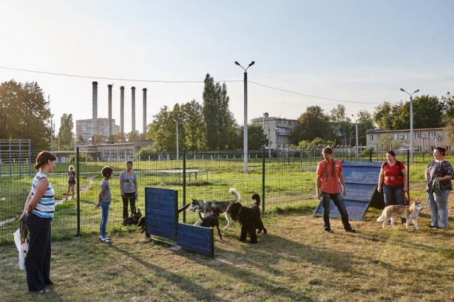 Инвентаризация знаков "Место для выгула собак" и площадок КП "центр обращения с животными" на 13.11.2017г.