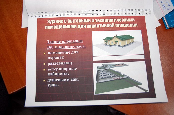 Харьковский приют для животных