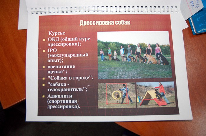 Харьковский приют для животных