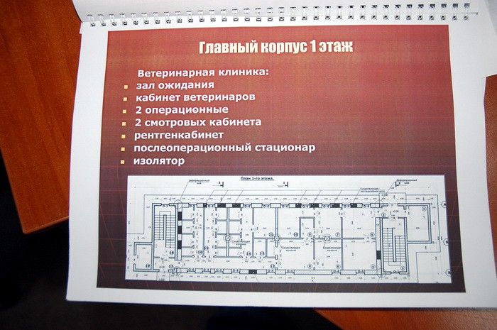 Харьковский приют для животных