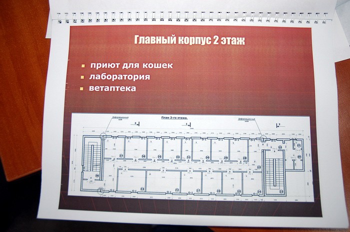 Харьковский приют для животных