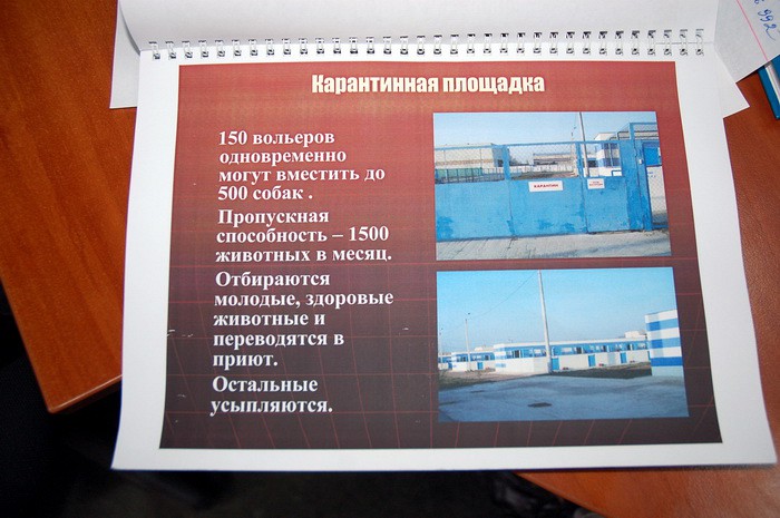 Харьковский приют для животных