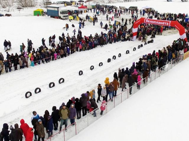 Приютские собаки нашли друзей на празднике "Winter Dog Fest-2018"
