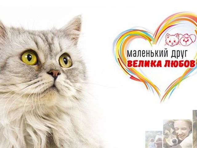 КП «Центр обращения с животными» и сеть зоомаркетов "MASTERZOO"