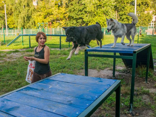 На вулиці Дерев'янка відкрили майданчик для вигулу собак