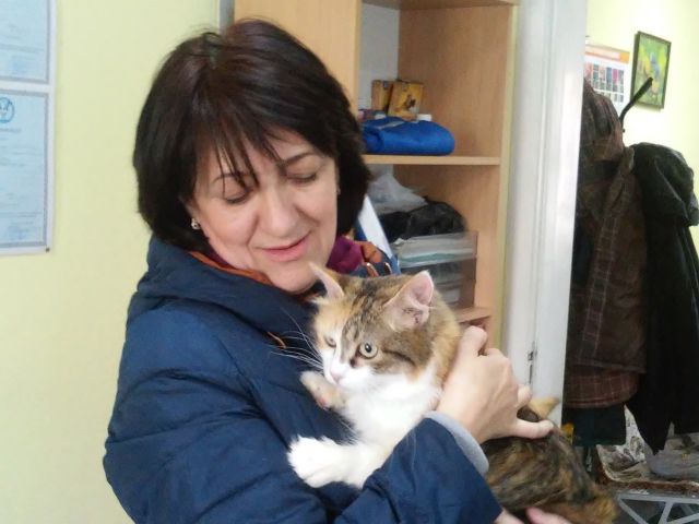 С 26.04.2016 по 23.05.2016 нашу ветклинику посетили 162 человека