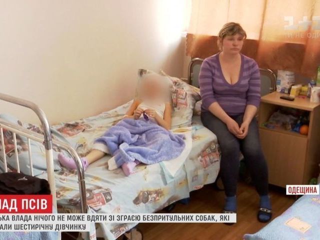 В Одесской области произошло очередное нападение стаи бездомных собак на ребенка