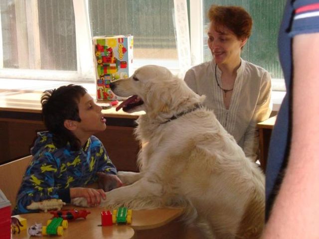 КАНИСТЕРАПИЯ В ХАРЬКОВЕ