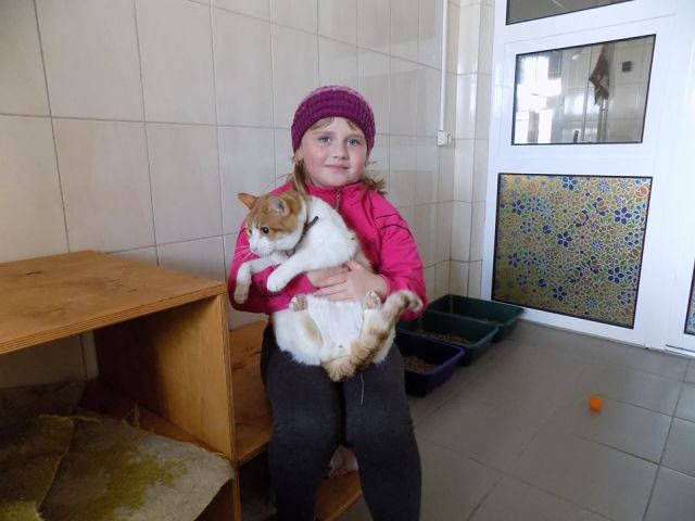 Знакомство с собаками, общение с кошками. Интересная и познавательная экскурсия