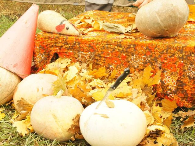 Хеллоуин в Центре обращения с животными