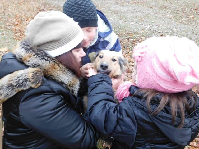 26 ноября в городском приюте для животных прошел традиционный воскресный День открытых дверей