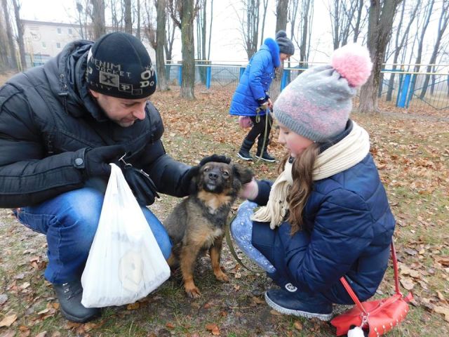 10 декабря традиционный воскресный выгул собак и посещение "Кошкиного дома" в Центре обращения с животными