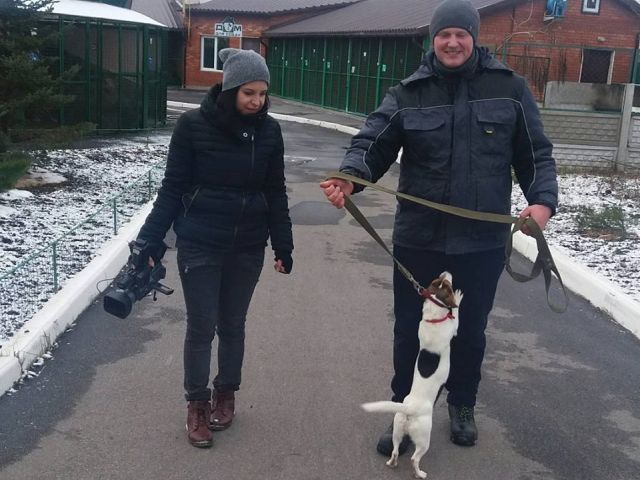 Центр обращения с животными запускает новый проект: "Советы кинолога"