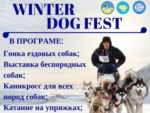 Центр обращения с животными и волонтеры группы "Открытое сердце" примут участие в зимнем Фестивале 14 января