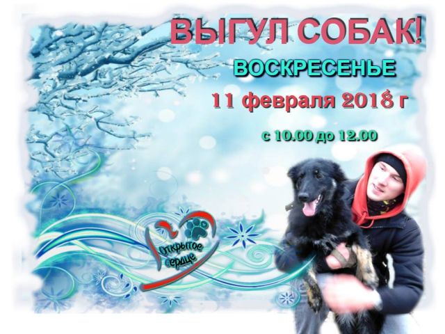 11 февраля Воскресный выгул животных в "Центре обращения с животными"