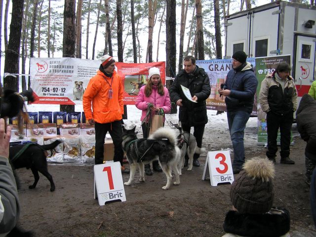 Центр обращения с животными провожал зиму в Писочине. 