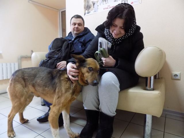 ТОР и ЛОРД уехали в новые семьи