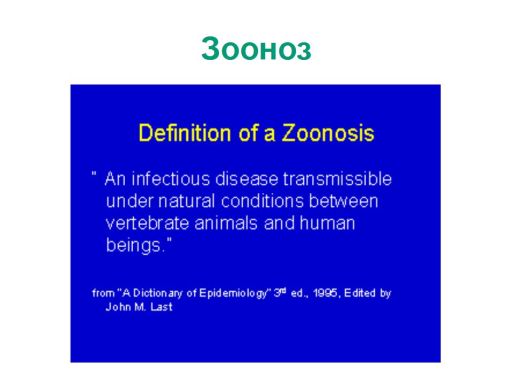 Зоонозы