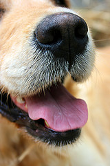 Определение частоты дыхания