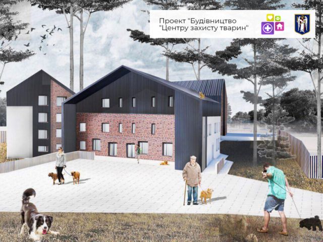 Как бездомных животных в Киеве сделают домашними