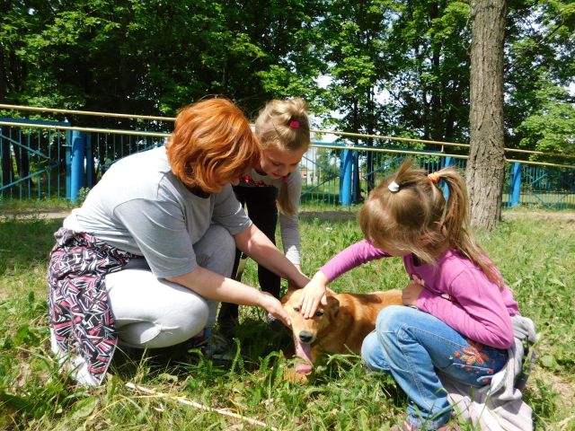 2 июля — Международный день собак