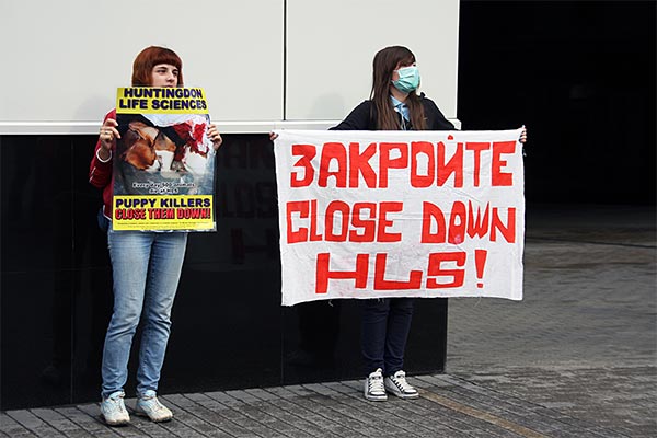 Лабораторные исследования над животными