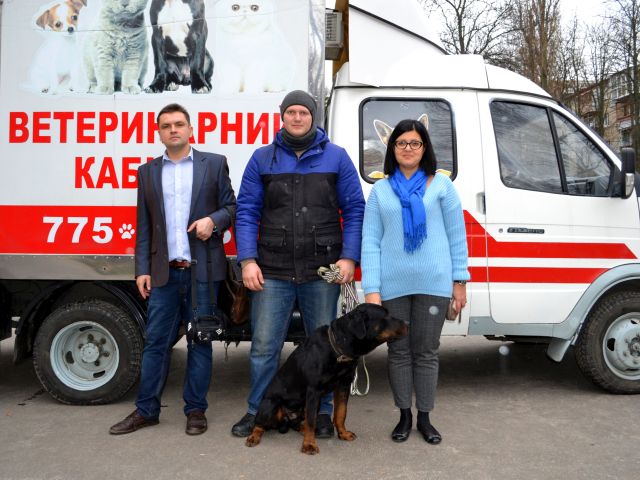 Встречи с кинологом и ветеринаром на площадках для дрессировки собак