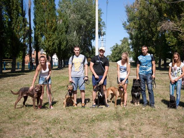 30 августа 2015 в приюте был день открытых дверей для всех желающих выгулять собачку