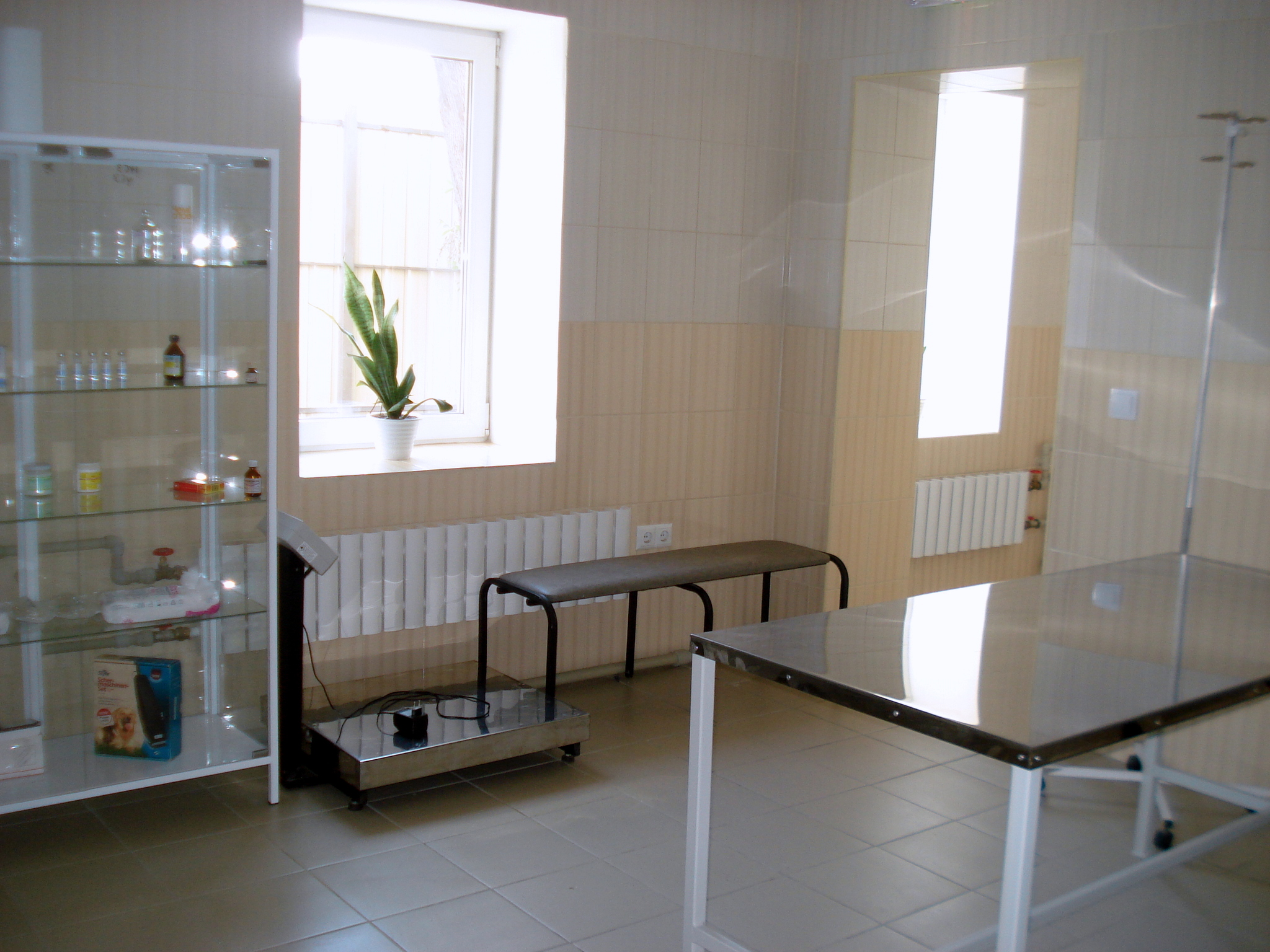 Харьковский приют для животных