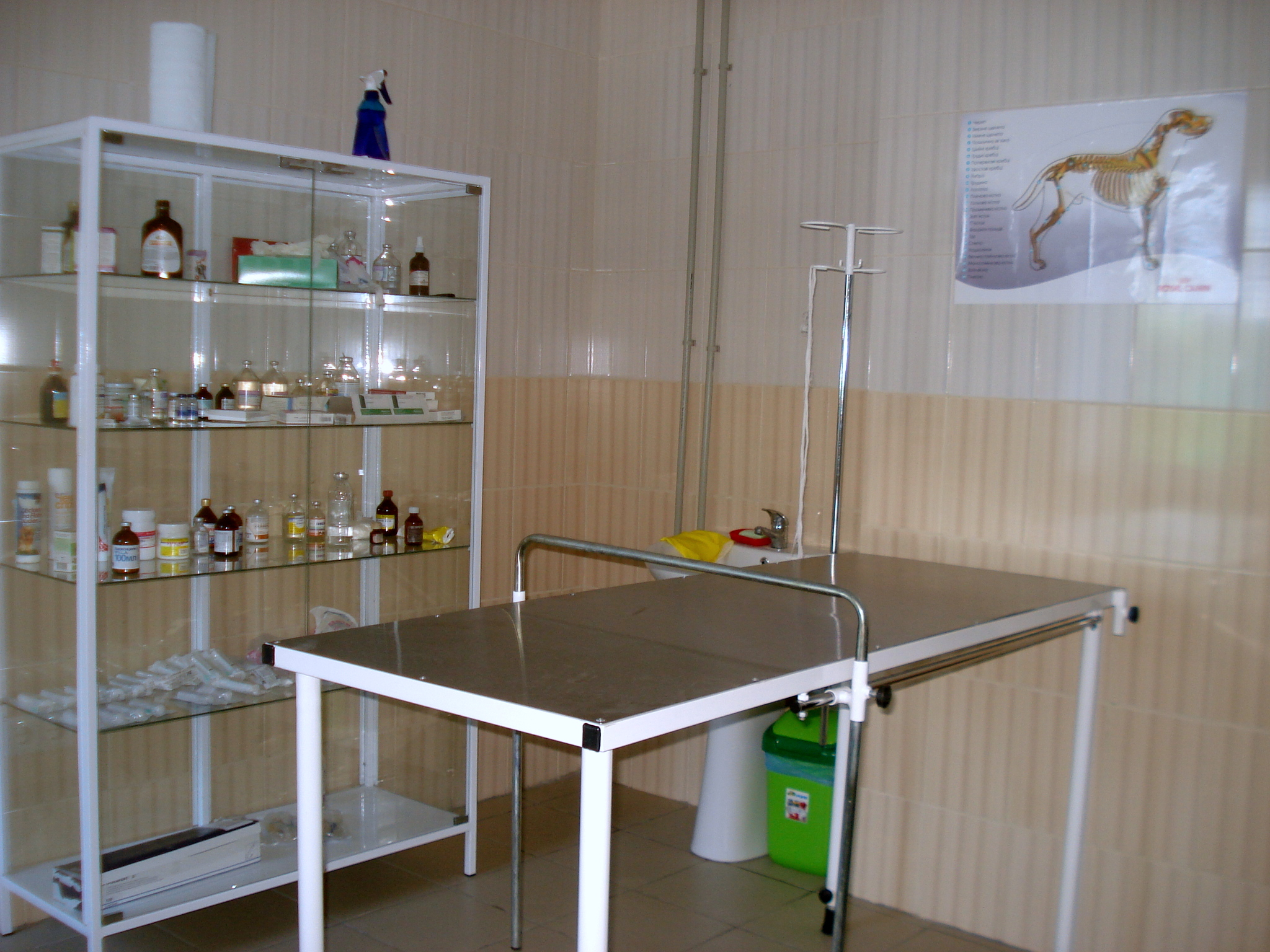 Харьковский приют для животных