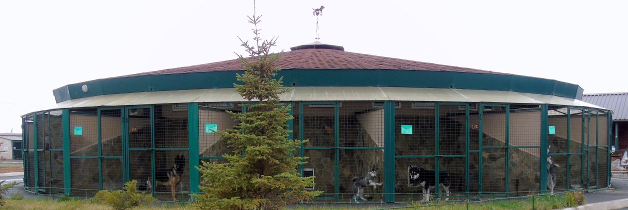 Гостиница, Передержка домашних животных: собак и кошек в Харькове