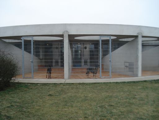 Харьковский приют для бездомных животных