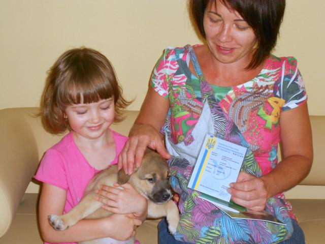 Как взять животное из Харьковского приюта