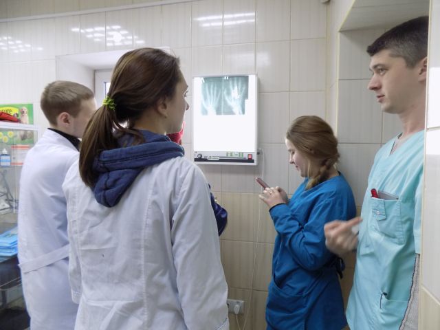 Основы рентгенологии осваивали студенты-практиканты зооветакадемии в ветклинике Центра обращения с животными