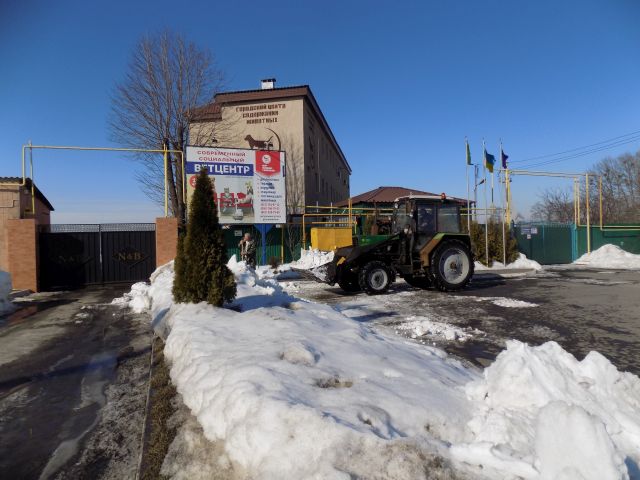 В Центре обращения с животными убирают снег и ждут весну. 