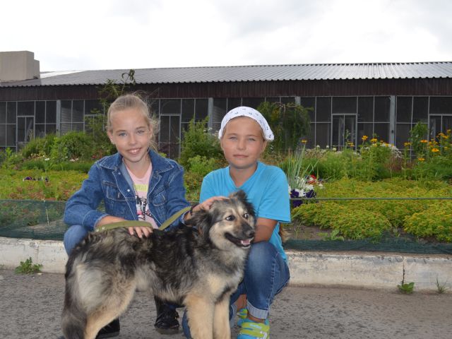 1 июля в Центре содержания бездомных животных состоялся очередной «День открытых дверей»