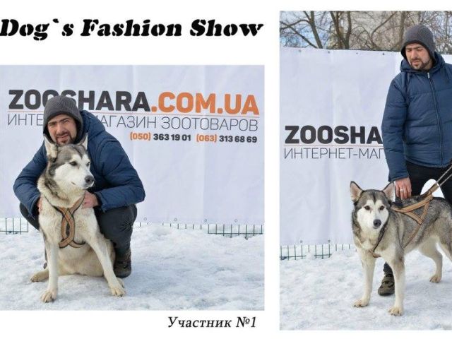 Костюмированный праздник для собак Dog`s Fashion Show