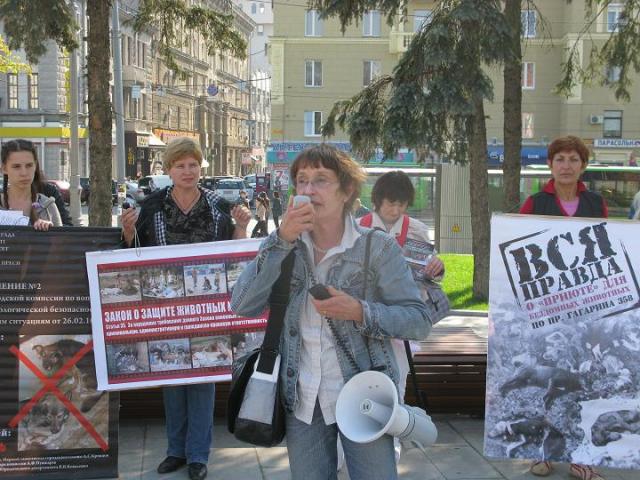 зоозащитники Харькова