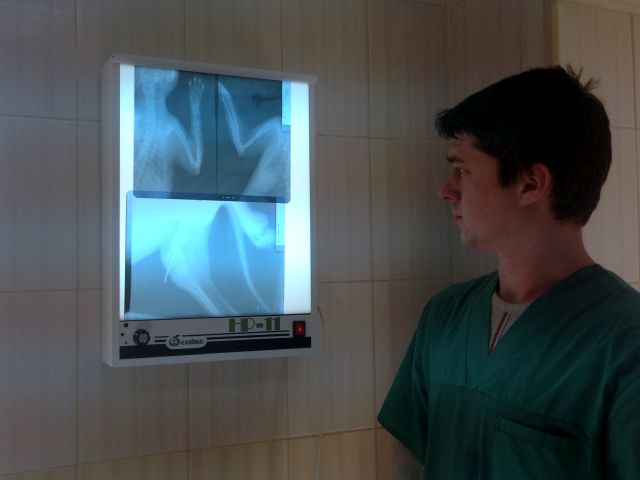 Спасибо Благотворительному Фонду «Центр социальных проектов будущего» за пленку для рентгенаппарата!