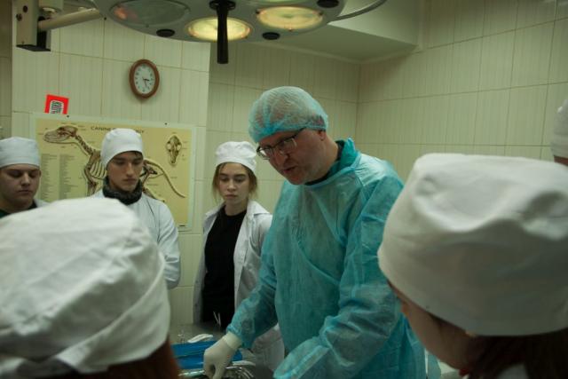 Отчет о работе КП «Центр обращения с животными» за 2016 год